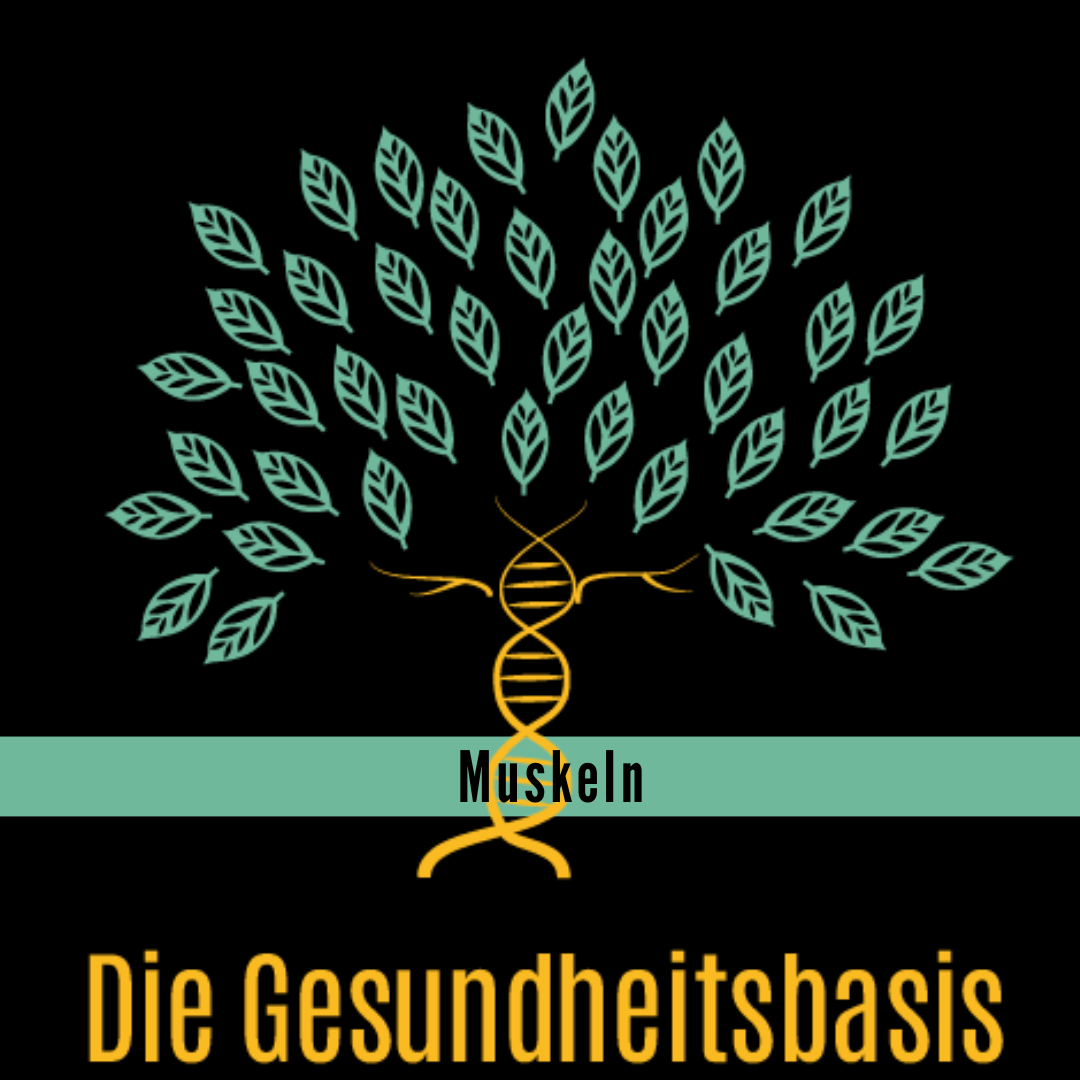 Muskeln Jugend Gesundheit Muskeln Jugend Gesundheit