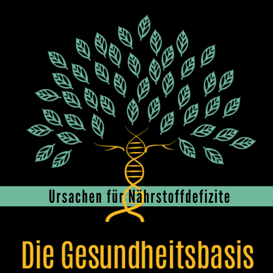 Ernährung Gesundheit Nährstoffe Ernährung Gesundheit Nährstoffe