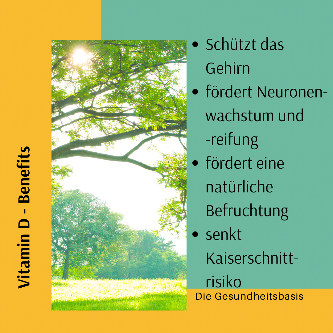 Die Gesundheitsbasis Colin Otte Vitamin D Benefits