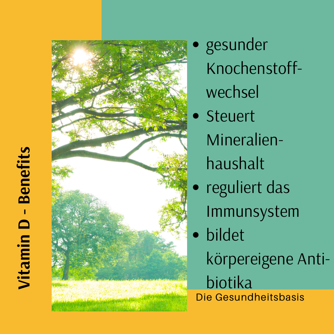 Die Gesundheitsbasis Colin Otte Vitamin D Benefits