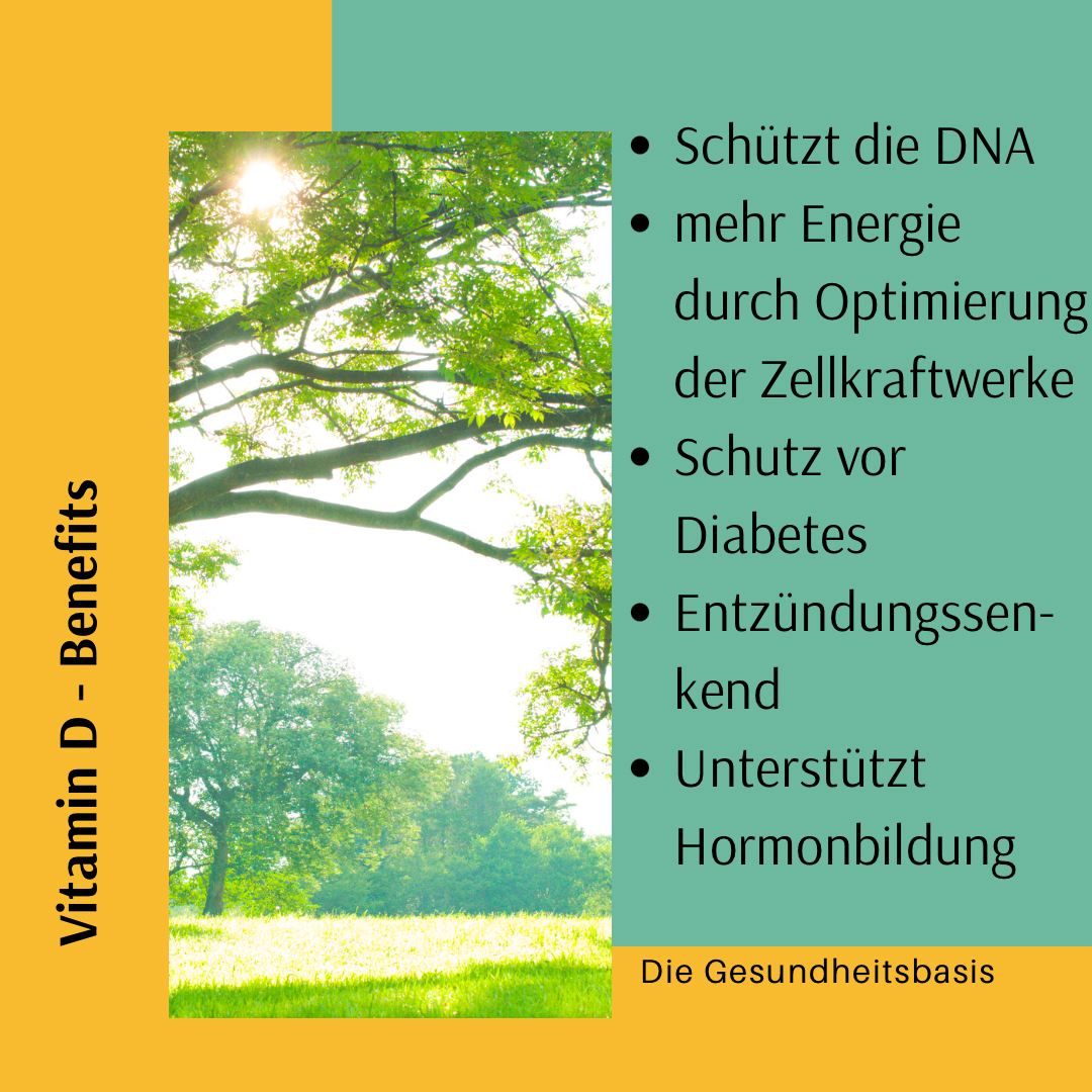 Die Gesundheitsbasis Colin Otte Vitamin D Benefits