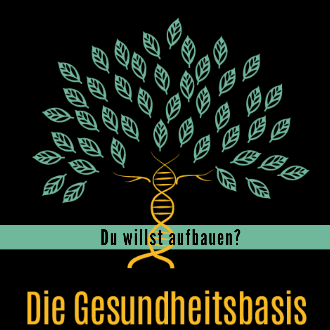 aufbauen Glucose Blutzucker aufbauen Glucose Blutzucker