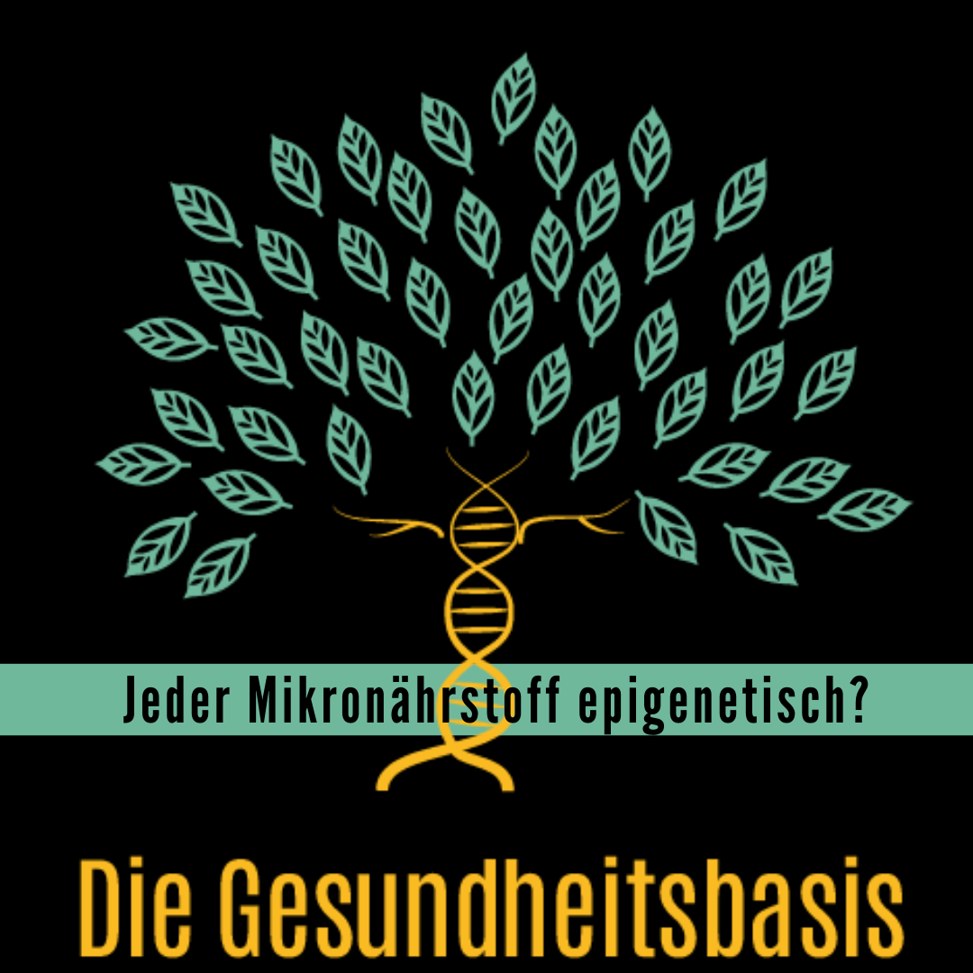 Epigenetik Mikronährstoff Gene Epigenetik Mikronährstoff Gene