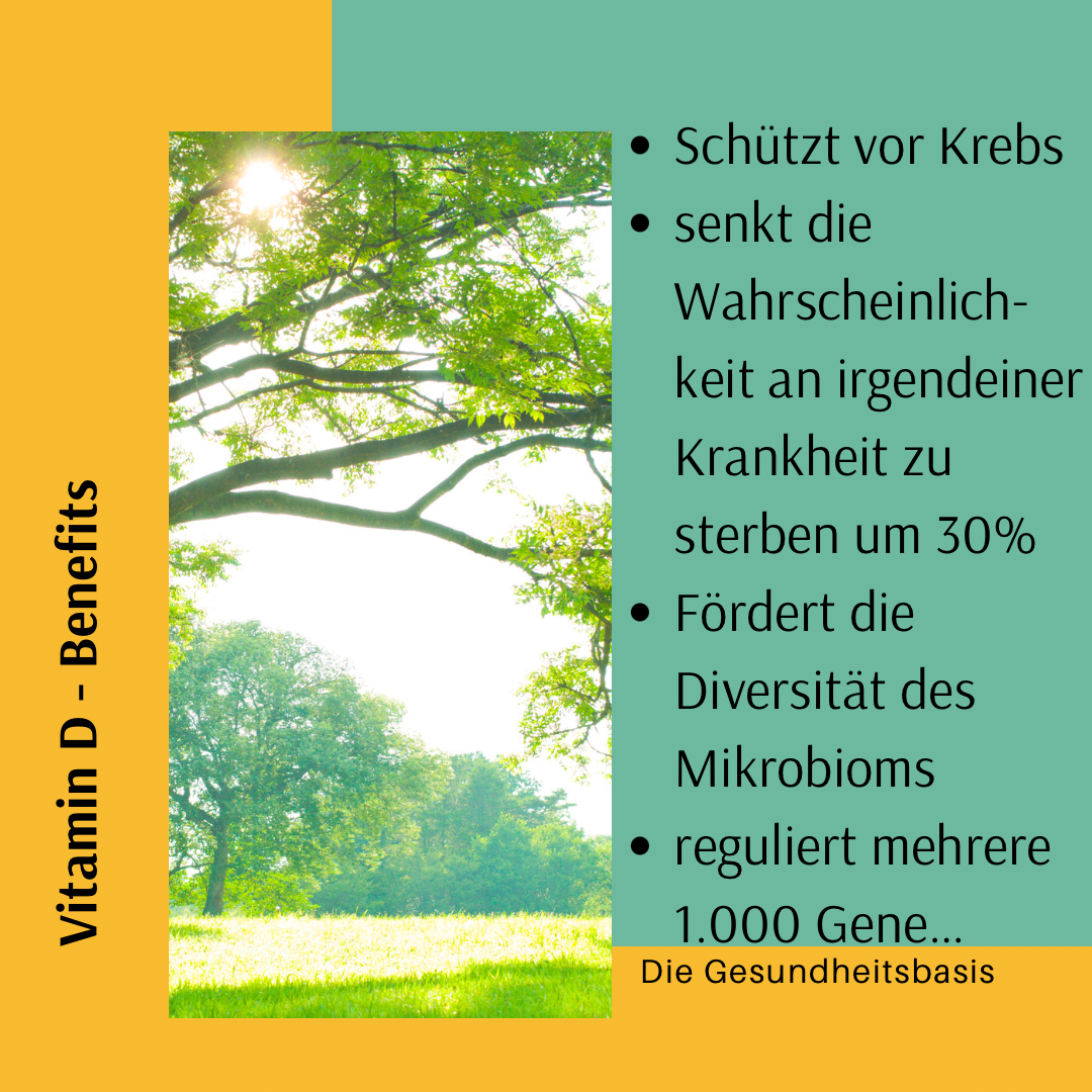 Die Gesundheitsbasis Colin Otte Vitamin D Benefits