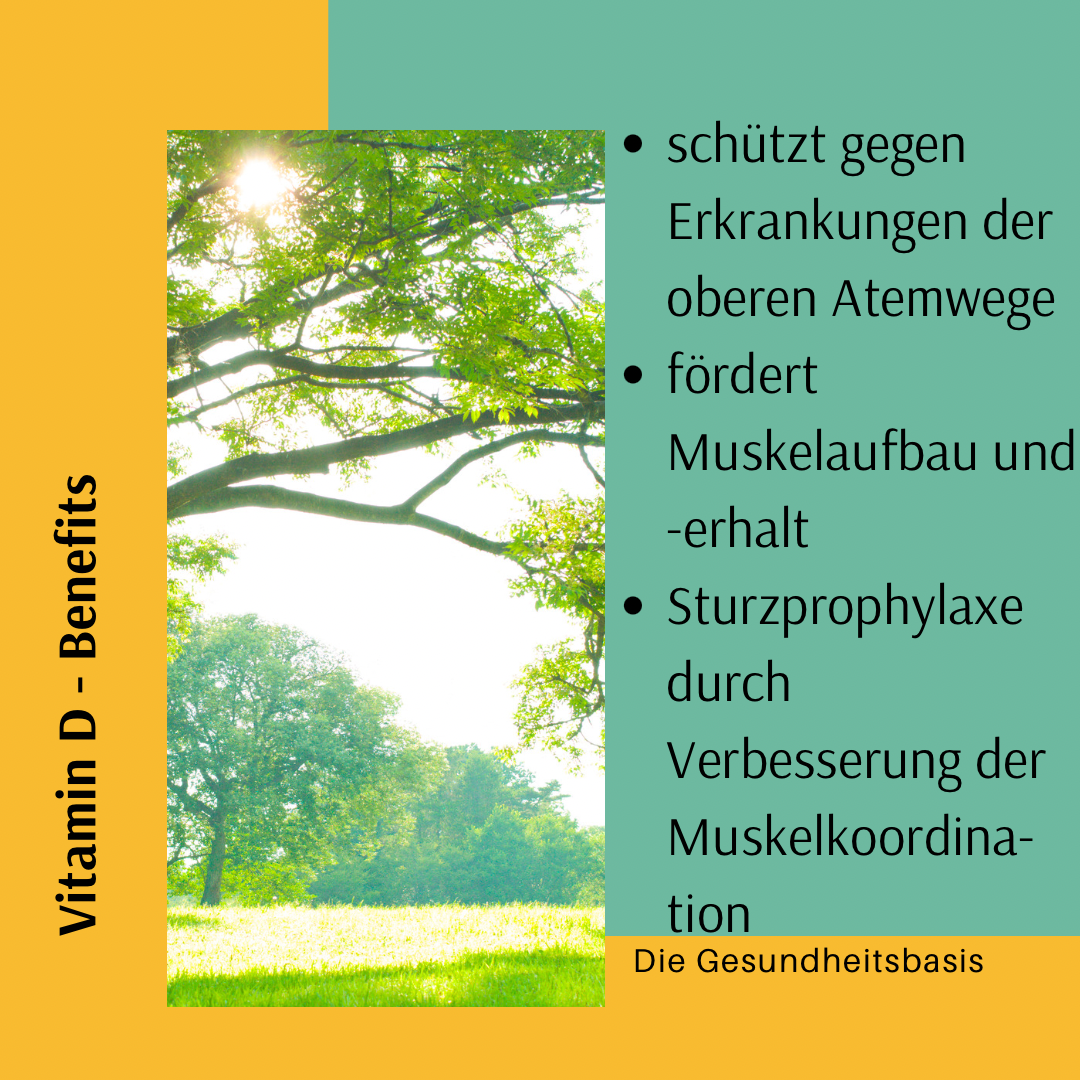 Die Gesundheitsbasis Colin Otte Vitamin D Benefits
