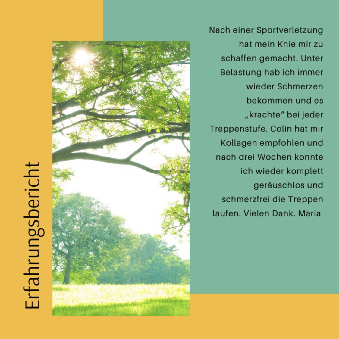 Erfahrungsbericht Knie Kollagen Die Gesundheitsbasis Colin Otte Erfahrungsbericht Knie Kollagen Die Gesundheitsbasis Colin Otte