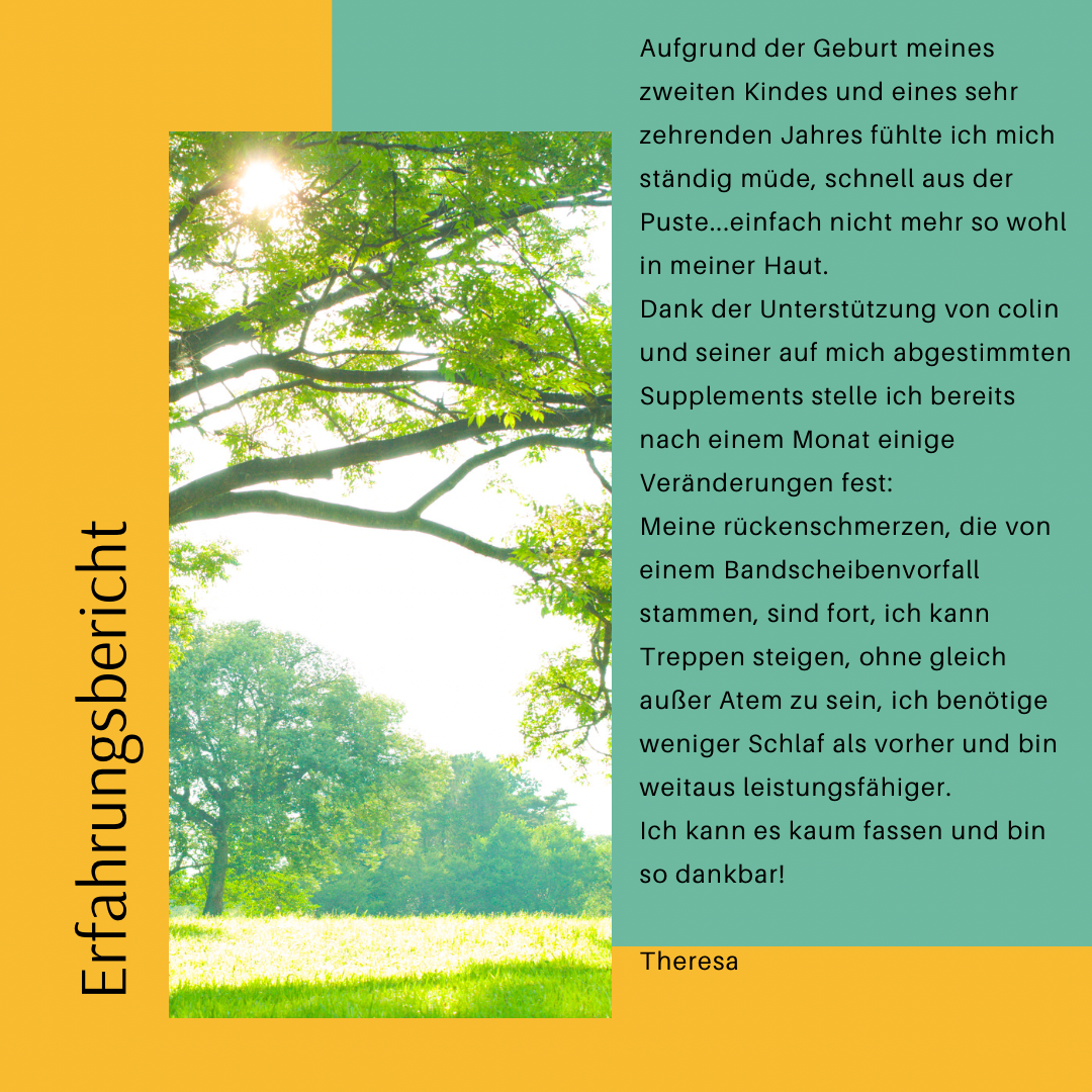 Sonnenaufgang Erfahrungsbericht Die Gesundheitsbasis Colin Otte Sonnenaufgang Erfahrungsbericht Die Gesundheitsbasis Colin Otte