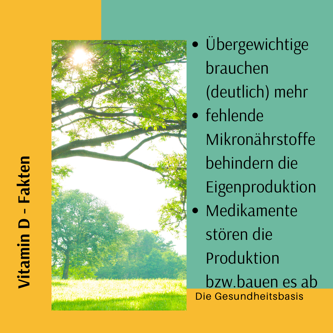 Die Gesundheitsbasis Colin Otte Vitamin D Fakten