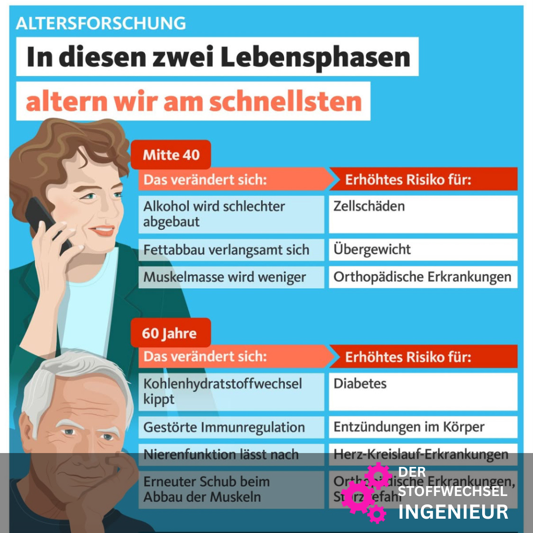 Altern in zwei Schüben Quarks